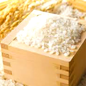 一般用）コシヒカリ 整粒米 精米 長野県産 令和5年産 24kg 単一銘柄米