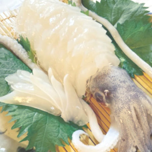 徳島県産アオリイカ（刺身用/スミ除去済み）冷凍 約1.5kg（約